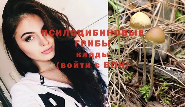 спайс Карталы