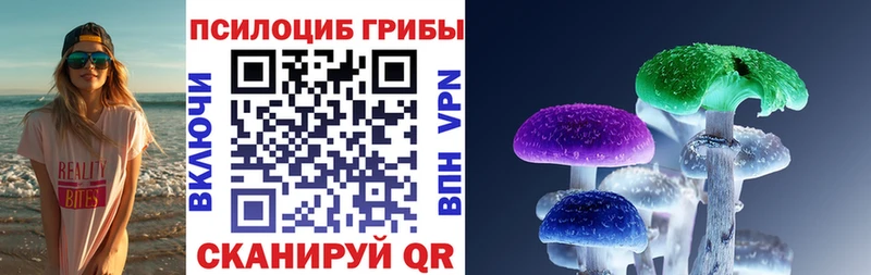 Купить  Лесной  Галлюциногенные грибы мухоморы 